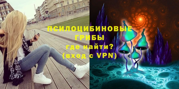 тгк Арсеньев