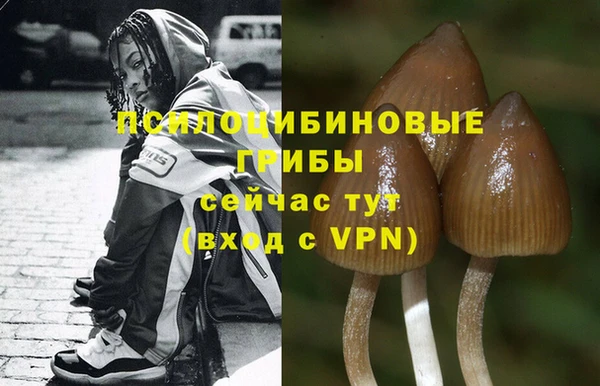 экстази Армянск