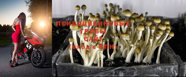 экстази Армянск