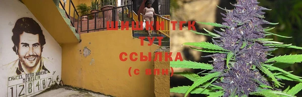 тгк Арсеньев
