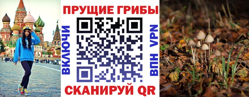 сколько стоит  Татарск  Псилоцибиновые грибы мицелий 